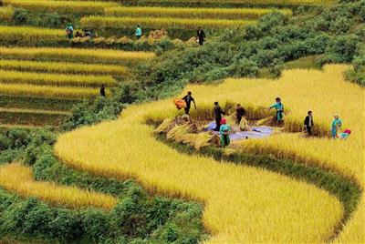 Luật Đất đai năm 2024 tạo thuận lợi cho người nông dân và đồng bào dân tộc thiểu số 